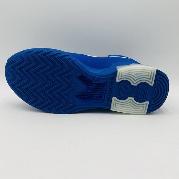 Nike LeBron Witness IX 9 Game Royal Blue White II7520 401 Mens Size 11 NEW